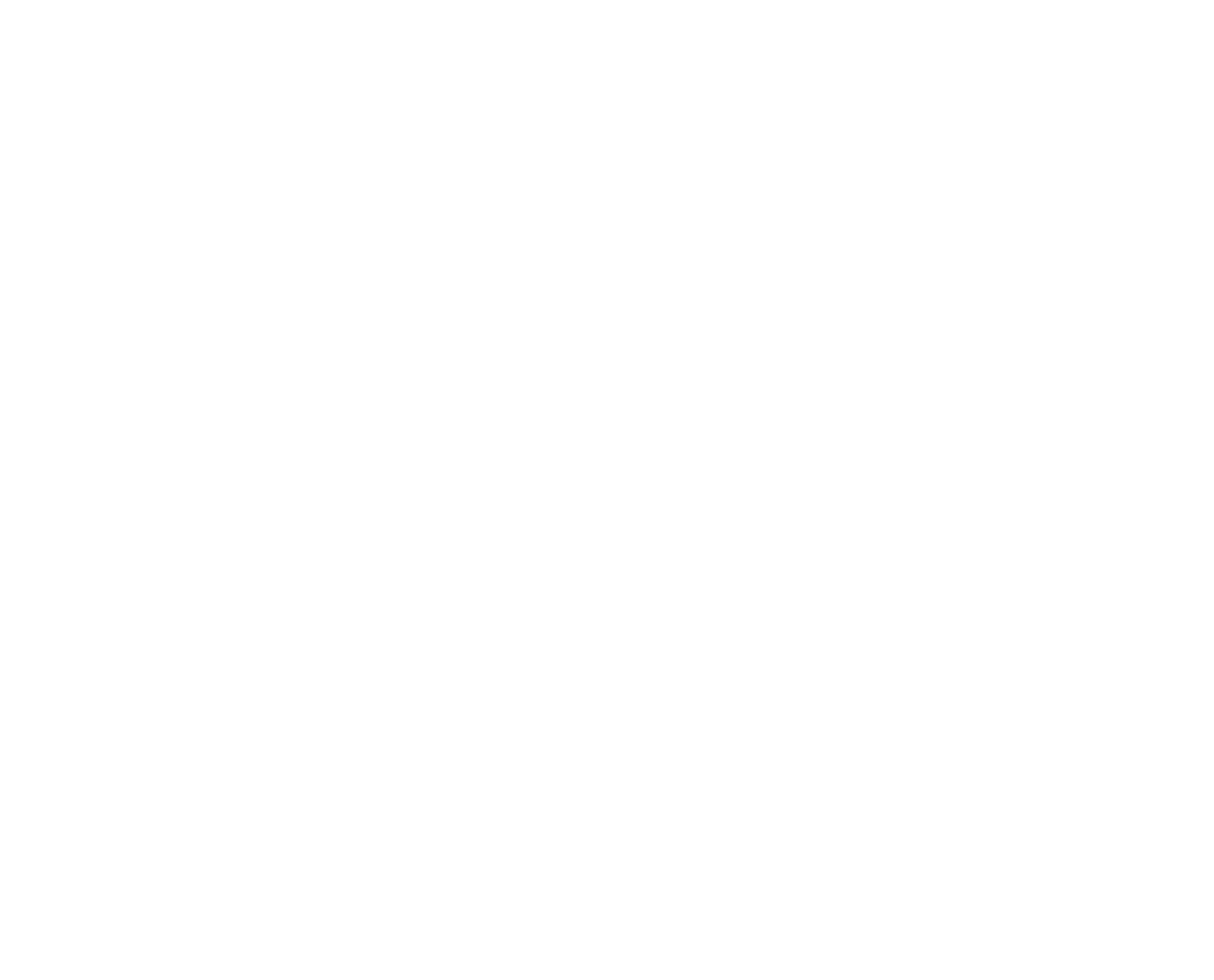 evis jewels logo V.03.1 01